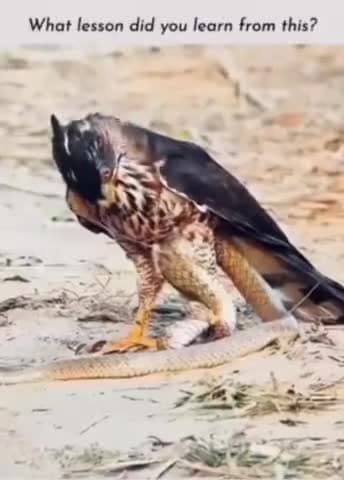 जिंदगी में कितनी भी बड़ी #मुसीबत आ जाए आप #हिम्मत मत हरना...
जब तक #साँस बाकी है आपमे जिंदगी से #जंग जारी है!!!