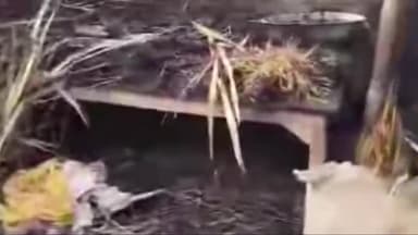 बाजपट्टी: हरपुरवा में घर में अचानक लगी आग , हजारों रुपए की संपत्ति का हुआ नुकसान