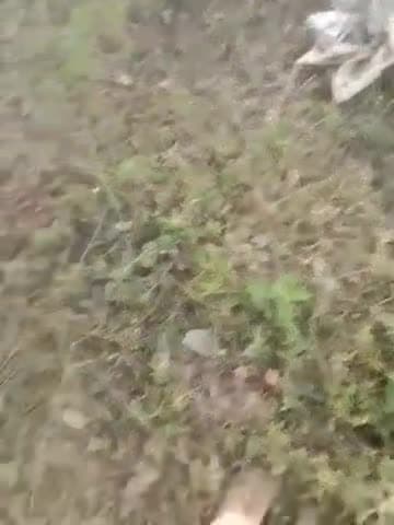 उदवंत नगर: असनी नदी के समीप पहुच पुलिस ने शराब बरामदगी को लेकर छापेमारी अभियान चलाया