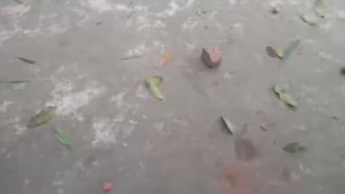 मरवन: करजा थाना क्षेत्र के बड़कागांव चकला टोला पर दो पक्षों में के बीच जमकर चले इट , पत्थर  व लाठी डंडे , 10 जख्मी