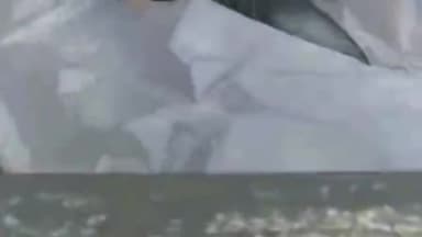 साहेबपुर कमाल: रहुआ रेलवे गुमती के समीप रेलवे ट्रैक पर एक युवक का शव किया गया बरामद