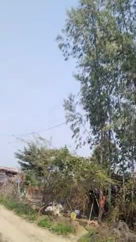 #नादिनकुर्मियांन के आजादपुरवा में बिजली की दुर्बेवस्ता