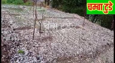 भलेई: भलेई क्षेत्र में जमकर हुई ओलावृष्टि #chamba#himachal#kakukhokhr