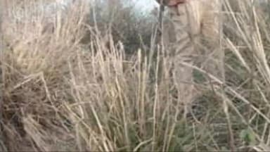 डेहरी: एएलटीएफ की टीम ने छापेमारी के दौरान अकोढ़ीगोला थाने क्षेत्र में 500 लीटर महुआ देसी शराब को किया विनष्ट