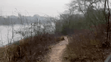 सेल्फी लेने के चककर मैं गंग नहर मैं गिरा छात्र साथ मैं कूदे दो दोस्तों ने मिलकर बचाया 
#newsjunction