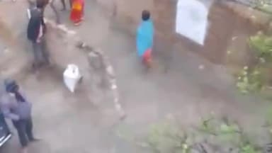 जमुई: संगथु गांव में पुत्र ने लाठी से मार कर अपनी मां को किया घायल, पड़ोसी पर मारपीट का लगाया आरोप, मारने का वीडियो आया सामने