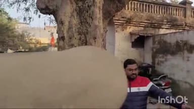 बहराइच: बहराइच में अतिक्रमण पर चला प्रशासन का बुलडोजर, नगर पालिका ईओ ने की बड़ी कार्यवाही