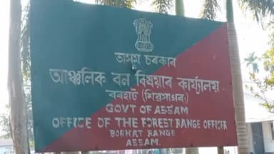 সাপেখাতী: মিছাজানত বাঘৰ সন্ত্ৰাস,বীৰেন ভাজনীৰ দুজনী,পুতুল মালাকাৰ এজনী ছাগলী নাহৰফুটুকী বাঘে ভক্ষণ