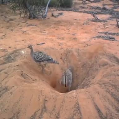 आपसी #तालमेल न हो तो #टीम वर्क का भी कोई मतलब नहीं रह जाता ..!!