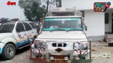 बंगाल से प्रतिदिन दर्जनों छोटे बड़े  झारखंड में प्रवेश कर रही है प्रतिबंधित थाई मांगुर मछली की गाड़ीयां।