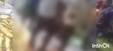 एटा: थाना बागवाला क्षेत्र गांव नगला निजाम में थ्रेसर से सरसों निकलते समय युवक हुआ गंभीर घायल उपचार के लिए भेजा निजी अस्पताल