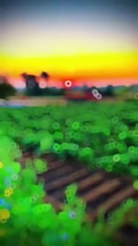 kartar farming यूट्यूब चैनल को सब्सक्राइब जरूर करें और अपने खेतों खलिहानों की अपडेट प्राप्त करे