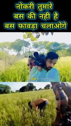 kartar farming यूट्यूब चैनल को सब्सक्राइब करें ताकि आपको खेती किसानी की जानकारी मिल सके @kartarfarming