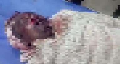 सुल्तानपुर: सुलतानपुर:बाजार से घर जाते समय टाटियानगर चौराहे के निकट अज्ञात वाहन ने मारी युवक को टक्कर,मौत