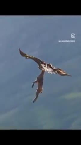 आपकी #उम्र भले ही छोटी हो पर #सोच हमेशा बड़ी रखना 
#लक्ष्य कितना भी विशाल हो #हिम्मत उससे भी बड़ी रखना !