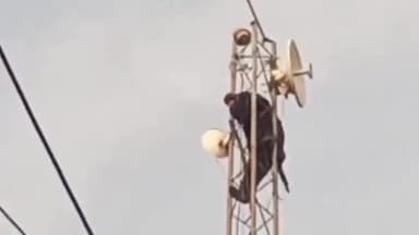 हुज़ूर: भोपाल के बुधवारा चौकी के सामने टावर पर चढ़ा युवक,कड़ी मशक्कत के बाद नीचे उतारा गया