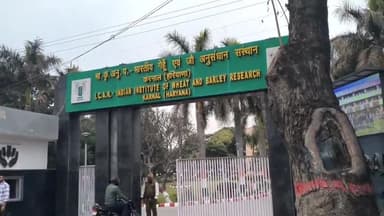 करनाल: मॉडल टाउन पुलिस चौकी एरिया में दो पक्षों में हुआ झगड़ा पुलिस पहुंची मौके पर जांच शुरू