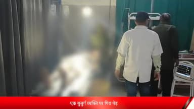 शाजापुर: कनासिया मे एक बुजुर्ग व्यक्ति पर गिरा पेड़, घायल का शाजापुर जिला अस्पताल में उपचार जारी