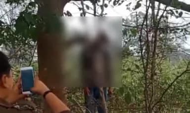 सुल्तानपुर: पूरे राम भद्र गांव में आम के पेड़ से लटकता मिला युवक का शव, जांच में जुटी पुलिस