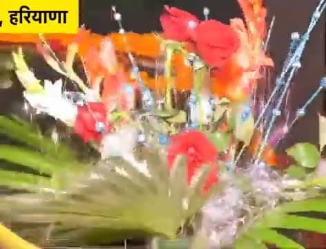 Narnoul#काजू बर्फी वाली शादी का सच! बिना दुल्हन लौटी बारात। फेरो बाद टूटी शादी। 44 लाख में#viral #