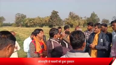 शाजापुर: शाजापुर विधायक ने ग्राम दुपाड़ा क्षेत्र के खेतों का लिया जायजा, क्षेत्र में ओलावृष्टि से हुआ है फसलों को नुकसान