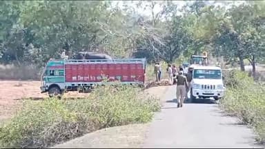 जयसिंहनगर: आमानार एवं कतिरा में उत्पात मचा रहे हाथी पर लगाम कसने बांधवगढ़ से पहुंचे चार ट्रेनी हाथी, रेस्क्यू में जुटा वन अमला