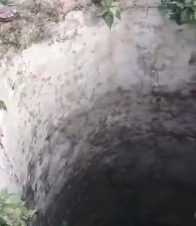 राघोपुर: जुरावनपुर थाना क्षेत्र के पहाड़पुर पूर्वी पंचायत में स्थित कुएं में गिरी गाय, कड़ी मशक्कत के बाद निकाला गया बाहर