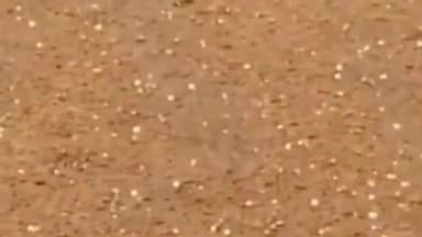 रामगढ़ शेखावटी: खोटिया सहित आसपास के कई गांवो में हुई जमकर ओलावृष्टि खेतों में खड़ी फसलों को हुआ भारी नुकसान