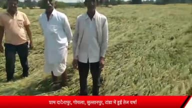 शाजापुर: ग्राम दाैरापुर, गोयला, सुल्तानपुर, टांडा में तेज वर्षा, आंधी से फसलों को नुकसान, भारतीय किसान संघ ने की मुआवजे की मांग