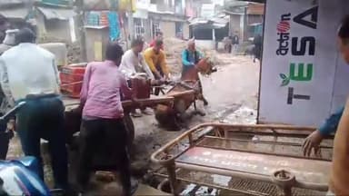 शाहजहांपुर: बहादुरगंज पचराहा में पानी लीकेज से रोड पर हुए कीचड़ में घोड़े का पैर फिसलने से तांगा नाली में गिरा, घोड़ा हुआ घायल