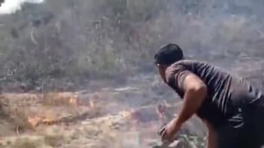 झांसी: बरमाइन जाने बाली सड़क किनारे खाली पड़े खेत में लगी भीषण आग,कड़ी मशक्कत के बाद पाया काबू, हरे भरे पेड़ जलकर हुए राख