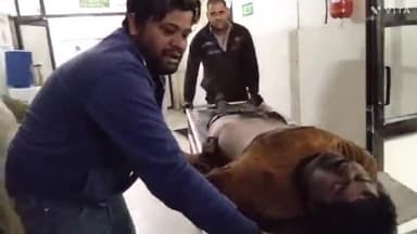 अम्बाला: मोटर मार्केट में काम करते समय मैकेनिक के ऊपर गिरी वैन, घायल अवस्था में लाया गया शहर‌ के सिविल अस्पताल; हुई मौत