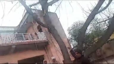 बड़ौत: रंछाड़ में घर के आंगन में आकाशीय बिजली गिरने से एक मवेशी की मौत व पेड़ हुआ क्षतिग्रस्त, विद्युत उपकरण हुए खराब