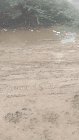फागी: phagi me MadhuRajpura Road Krishna Vihar Colony ke andar faila ki chadhi Kichad jisse do motorcycle Giri #kichad #chadh