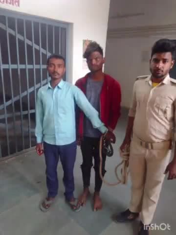 पिपराही: थाना पिपराही की पुलिस ने छतौना से शराब के नशे में हंगामा कर रहे तीन लोगों को गिरफ्तार कर न्यायिक हिरासत में भेजा