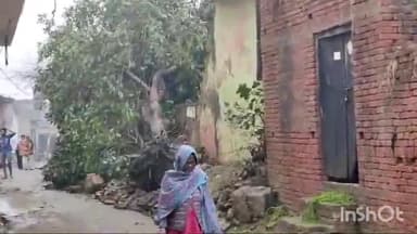 मुज़फ्फरनगर: चरथावल थाना इलाके में हुई तेज बारिश एवं ओलावृष्टि से सड़कों पर गिरे पेड़ और छप्पर।
