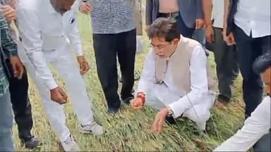 झांसी: रक्सा क्षेत्र के एक दर्जन से ज्यादा गांव में हुई ओलावृष्टि का लिया सांसद ने जायजा,100% मुआवजा दिलाने का दिया अश्वासन