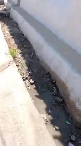 आरोन: #कस्वा मड़ी सिलावट पुरा का हाल एहाँ रोड तो डाल दिया पर नाली के पैसे खा लिए है ओर कई बर शिकायत भी कर दी इसलिएइसवीडियो मीडि