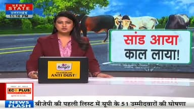 Special story coverage
सड़कों पर गोवंश फाइलों में पशु संरक्षण कानून, नगर पालिका प्रशासन मौन, उड़ाई जा रही गोवंशों के लि