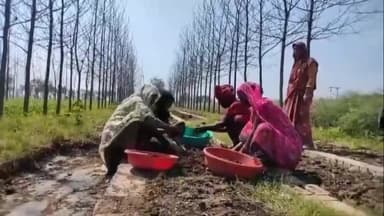 कोल: भवीगढ़ के किसान ने वर्मी कम्पोस्ट की यूनिट स्थापित कर अपना बनाया खाद का ब्रांड, 20 से 25 लोगों को दे रहे रोजगार