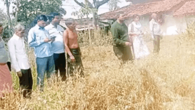 सिंगरौली: पानी और ओलो से 1000 से अधिक किसानों की फसलों को पहुंचा नुकसान जारी है क्षति आकलन का सर्वे, बढ़ सकती है प्रभावित किसानों की संख्या