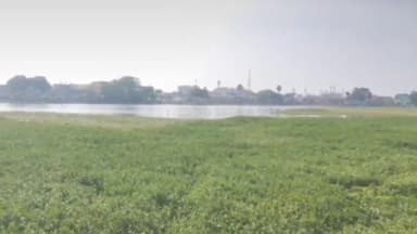 हज़ारीबाग: ओकनी तालाब को लेकर हाईकोर्ट को बरगलाया, सरकारी कागजात से सच सामने आया।