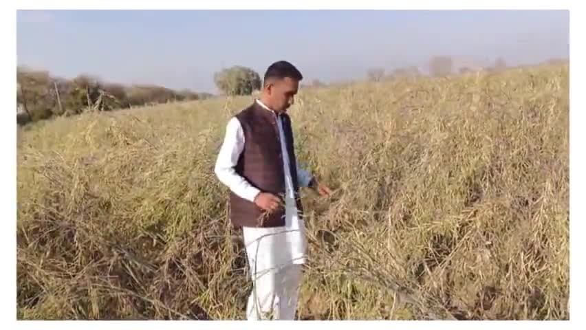 #हरियाणा #प्रदेश  #ओलावृष्टि #मुआवजा #योगबीर #सांगवान #फसल