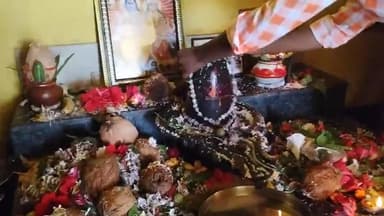 ग्राम बरकई सोनाबेड़ा घुमर में आज महाशिवरात्रि पर्व पर भक्तों का उमड़ी भीड़। लम्बी लाईन में रहकर किये शंभू का पुजा ।