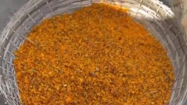 कांके: पहाड़ी मंदिर के पास राष्ट्रीय युवा शक्ति ने महाशिवरात्रि और महिला दिवस पर महिलाओं पर की पुष्पवर्षा