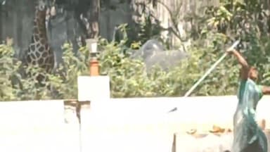 नौरोजाबाद: खेर मन्दिर नौरोजाबाद बना लड़ाई का अड्डा साफ सफाई और देखरेख के लिए रखे गए पति पत्नी रोज करते है हंगामा