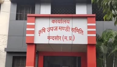 मंदसौर: 3 दिन के अवकाश के बाद सोमवार को खुलेगी कृषि उपज मंडी