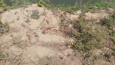 नाग के साथ लक्ष्मी माता का दर्शन करियेगा
#मैनपुरी #आगरा #कानपुर #फिरोजाबाद #गुरसहायगंज #कन्नौज #लखनऊ #एटा #इटावा