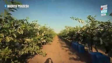 मोदी सरकार ने निर्यात पर टैक्स लगाकर किसानों कि कमर तोड दिया है #kisannyay