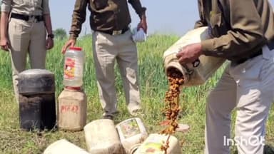 बाबई: गनेरा में आबकारी विभाग की टीम ने 80 अवैध हाथ भट्टी महुआ शराब की जब्त, एक आरोपी गिरफ्तार; 1650 किलो महुआ लहान किया नष्ट